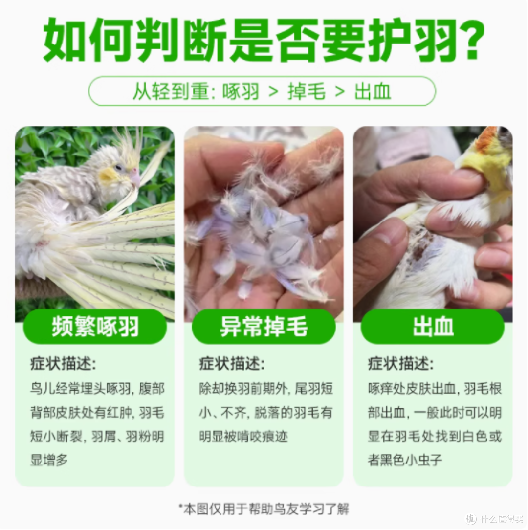 守护羽毛健康，从咖万开始——KOVAN咖万鹦鹉鸟护羽防啄一喷净