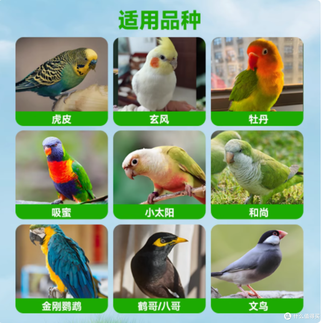 守护羽毛健康，从咖万开始——KOVAN咖万鹦鹉鸟护羽防啄一喷净