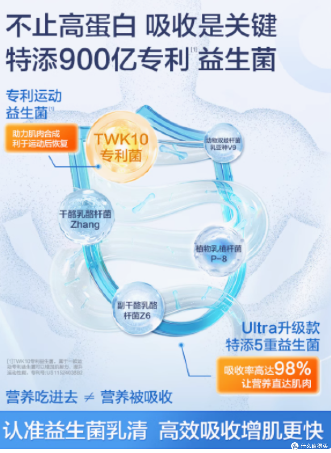 康比特乳清蛋白粉益生菌增肌粉——开启健身蜕变之旅