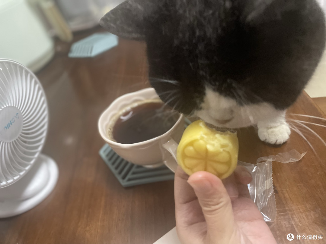 端午标配!广州酒家粽子礼盒,每年都要回购的心头爱