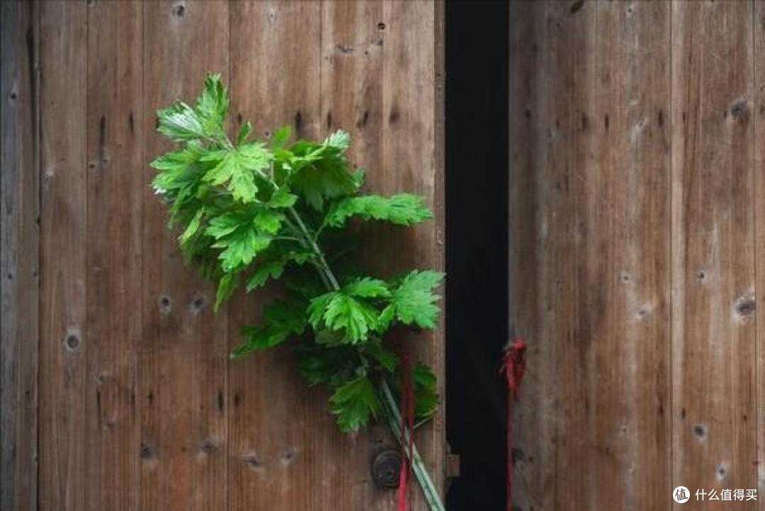 “端午三忌,一年顺利”,5月31日端午节,三忌是什么?答案来了