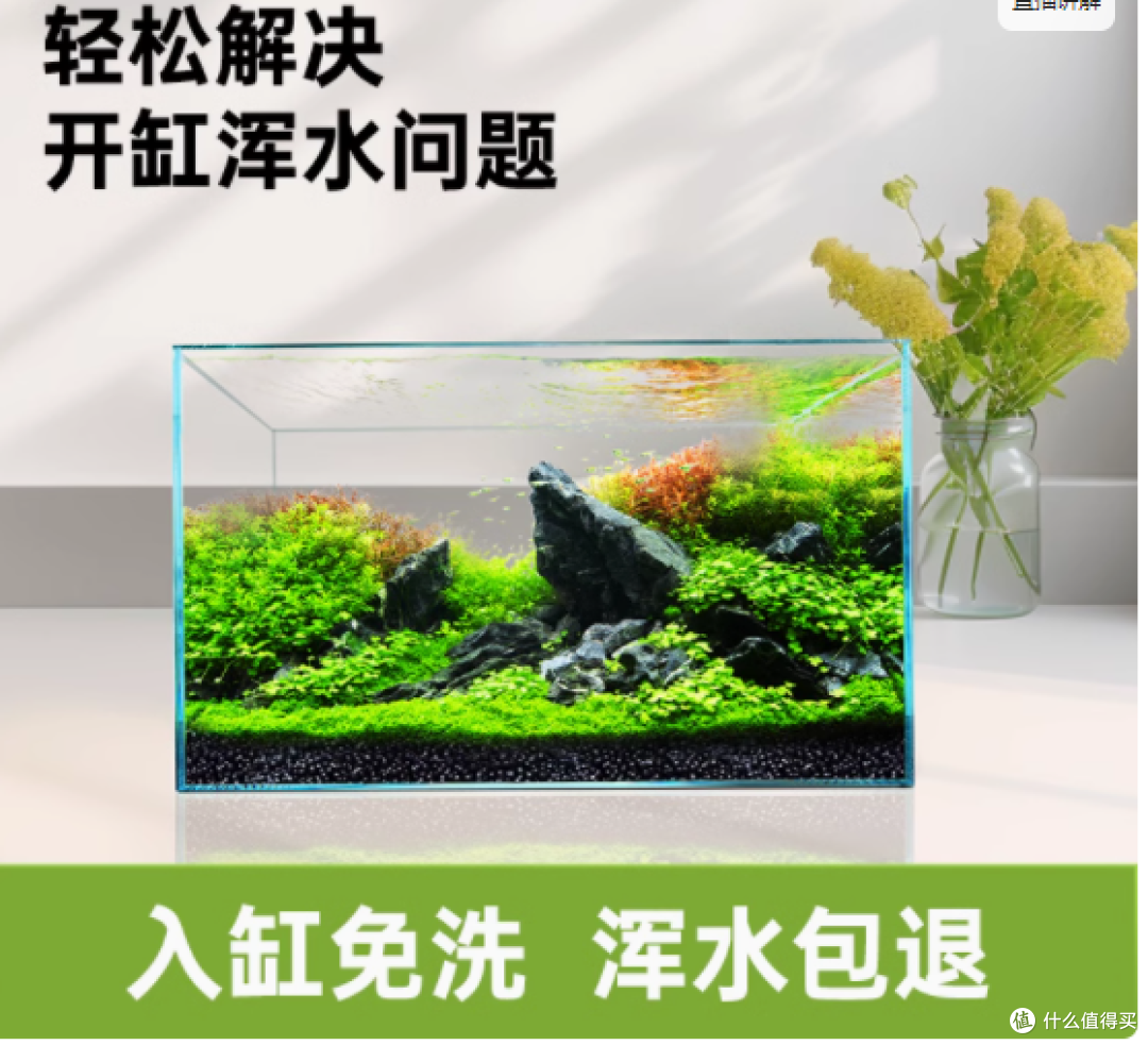 邂逅自然之美——BESSN贝森水草泥,打造您的专属水下仙境