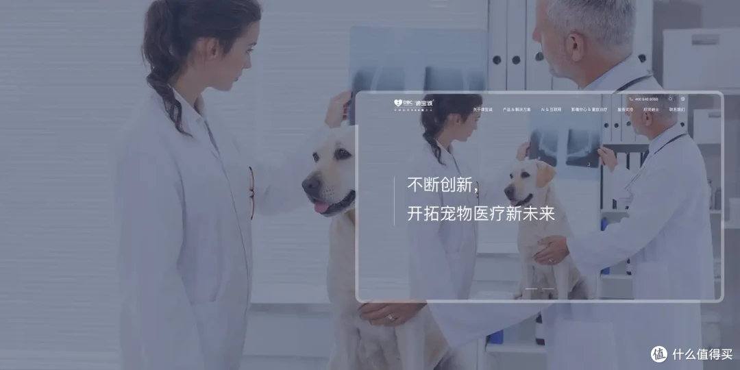 如何在茫茫网站建设公司中精准“挖宝”？