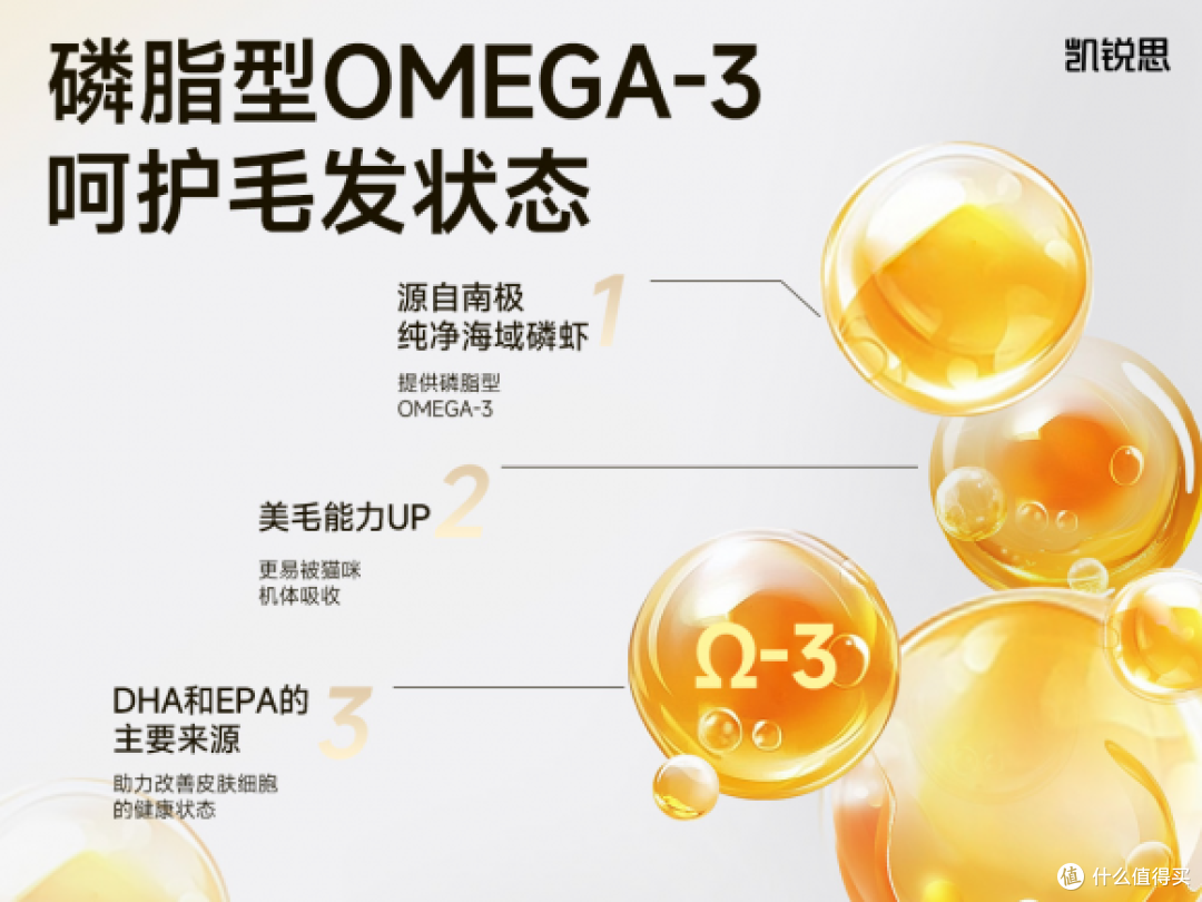 毛发粗糙喂养对策——凯锐思金爪烘焙猫粮靶向美毛解析