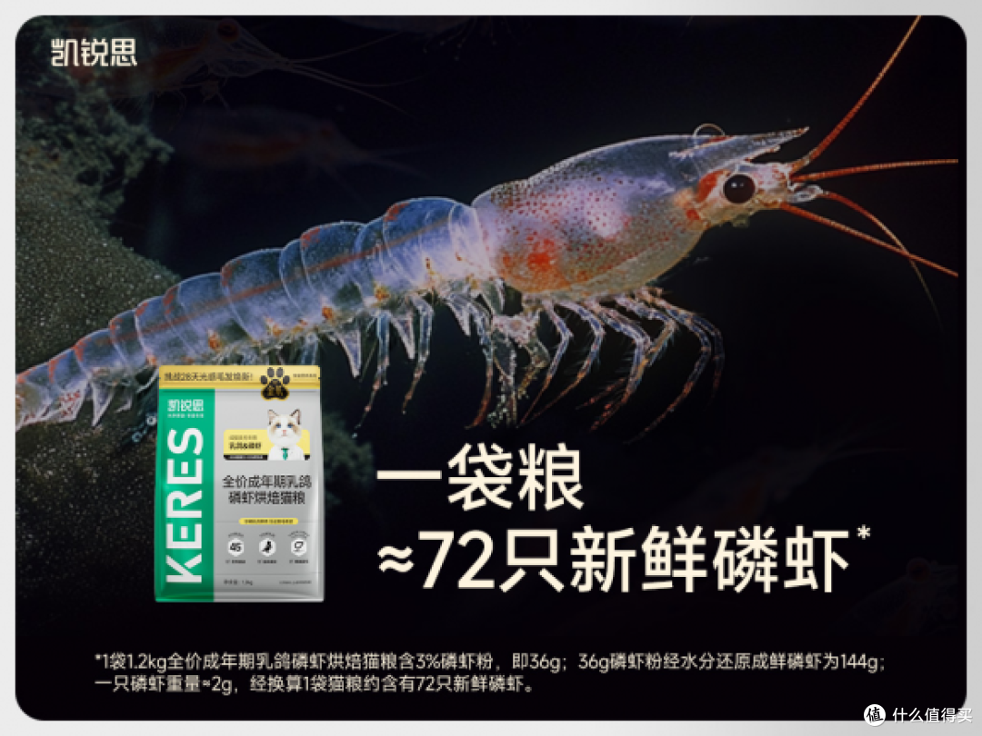 毛发粗糙喂养对策——凯锐思金爪烘焙猫粮靶向美毛解析