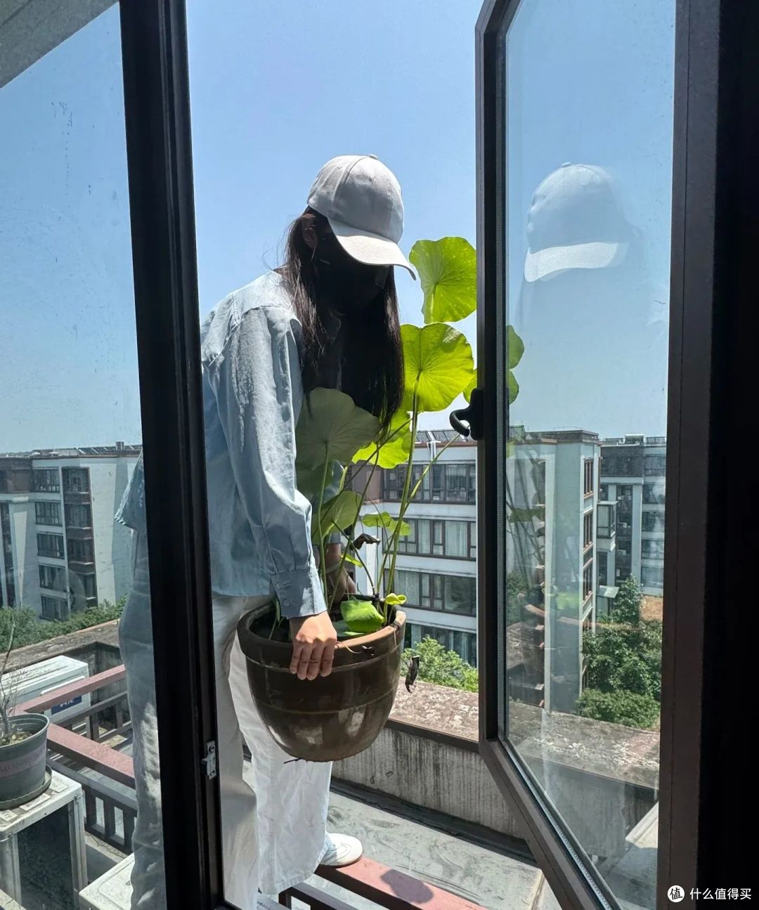 浙江小姐姐，因荷花“不开花”走红，网友：哄哄才会开！