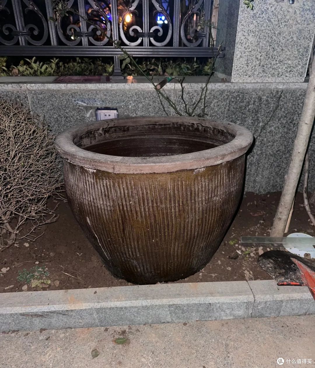 浙江小姐姐，因荷花“不开花”走红，网友：哄哄才会开！