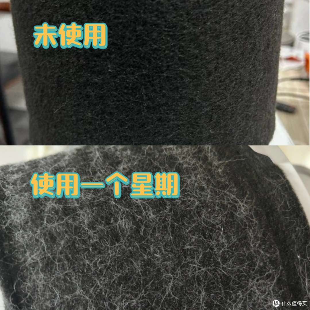 养狗是买空气净化器还是吸尘器最有效？养狗空气净化器好用吗？