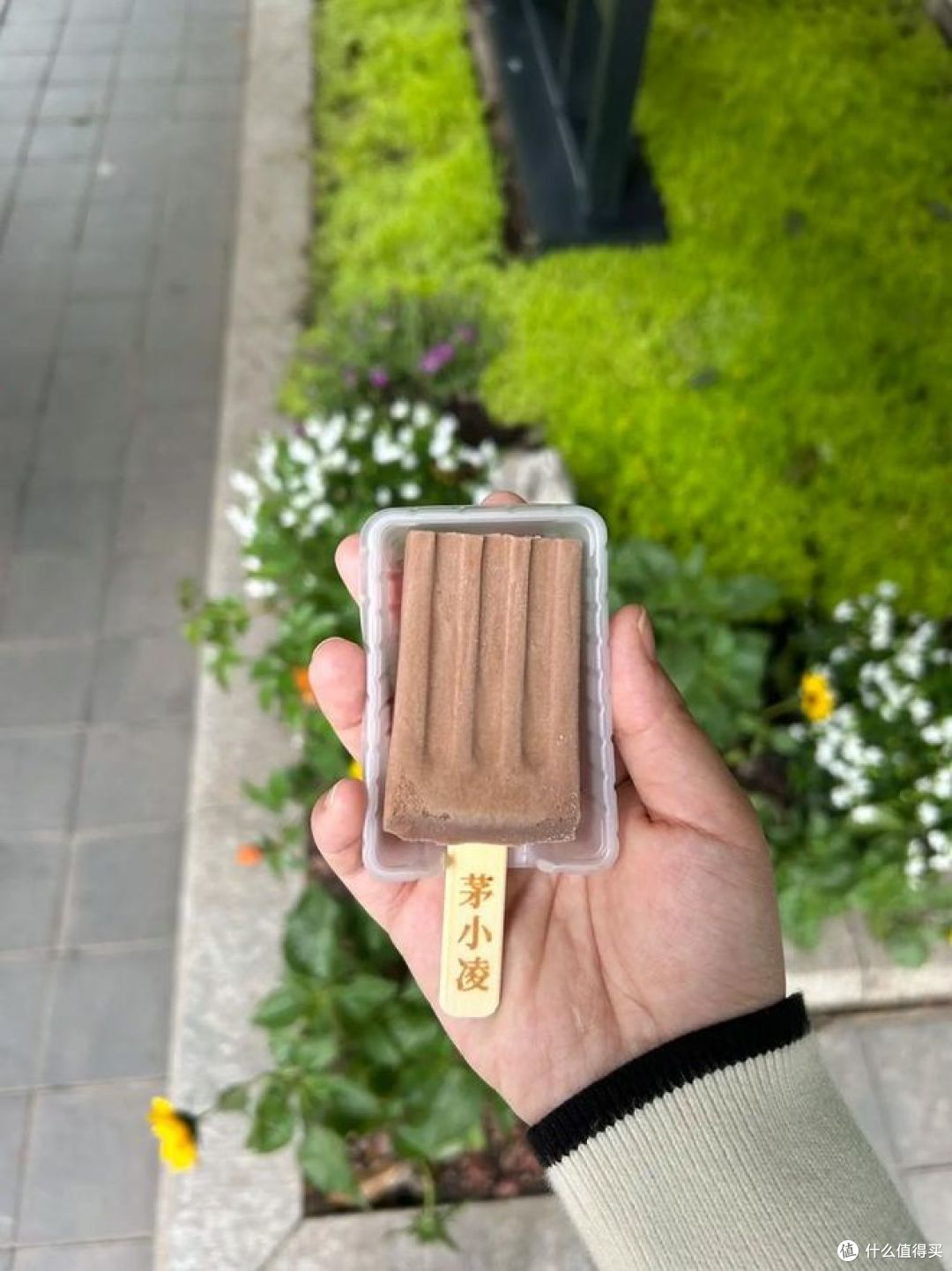 最贵的雪糕是什么牌子?你吃过哪些?