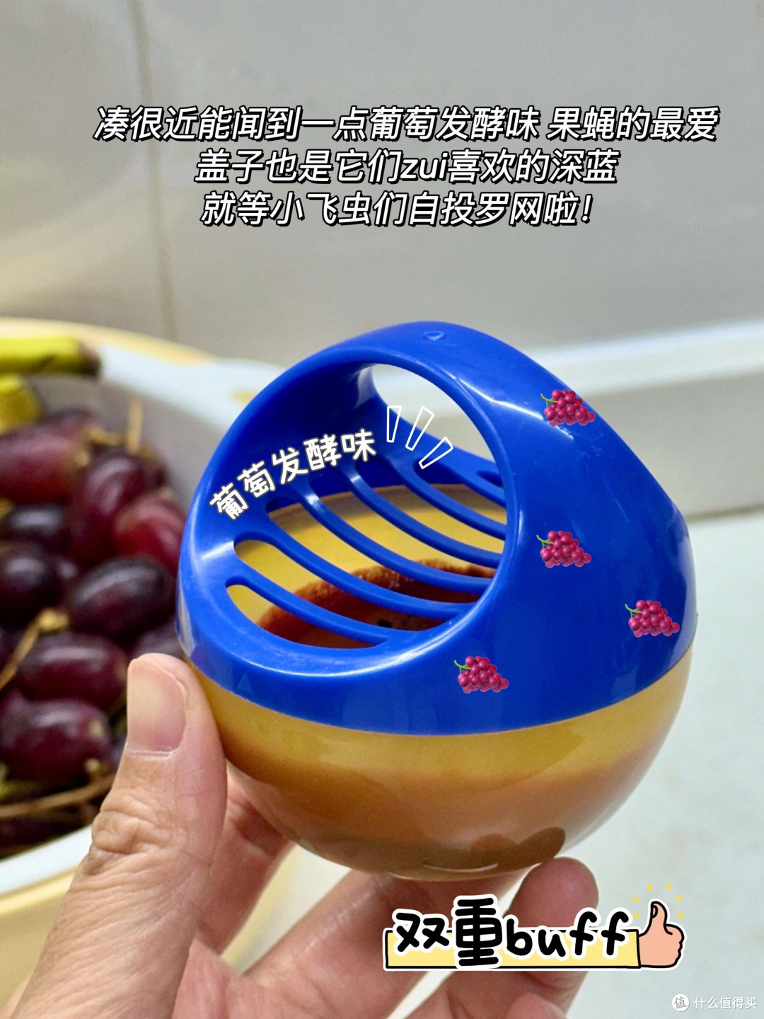 婆婆说，这玩意怎么没有早点买……这个杀蝇神器真的巨🐮