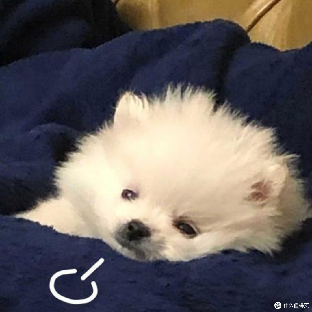 vivo S30 系列多彩小直屏、mini 又 Pro，都有哪些升级？