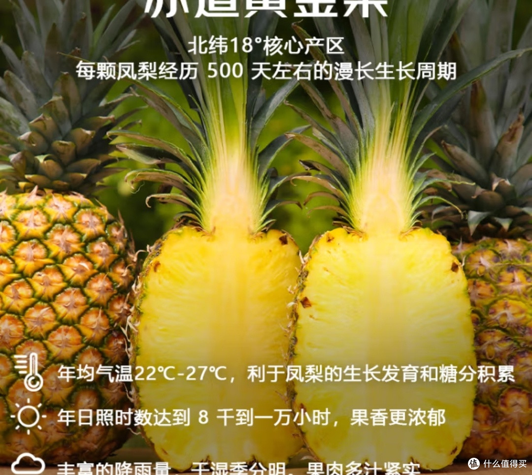 🔥【京鲜生海南金钻凤梨|5斤装甜蜜暴击】💥✨