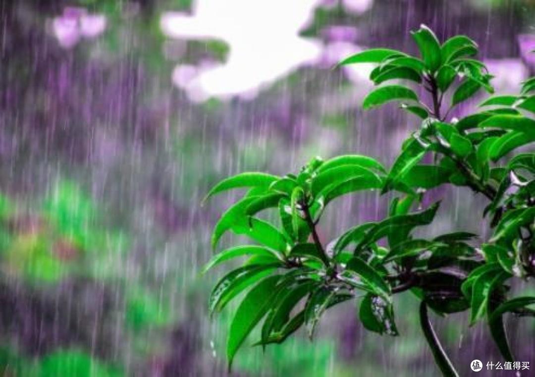 如果天天下雨，心情不怎么好如何调整？