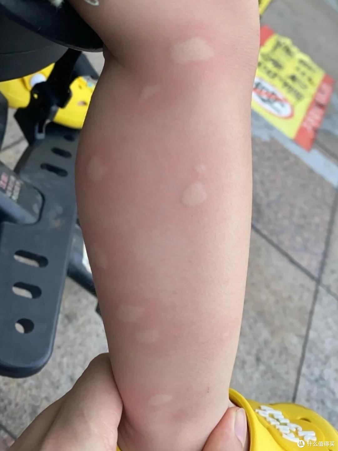 被网友的“驱蚊妙招”惊呆了,不花啥钱,蚊子就少了一半!
