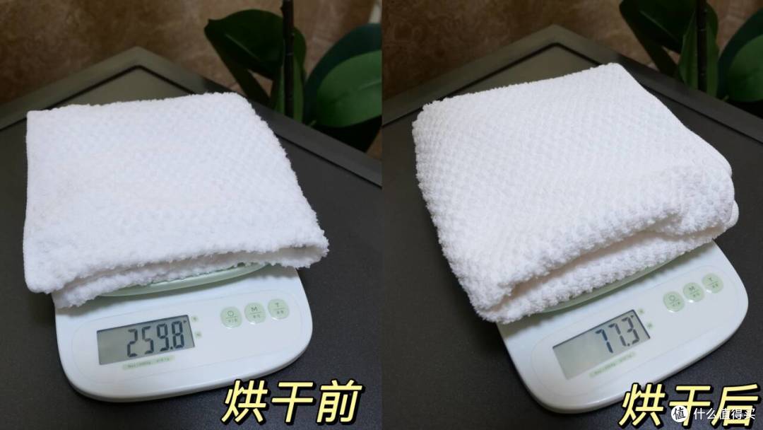蒸汽除皱+分子筛低温烘=高定护衣,石头Z1 Plus洗烘一体机深度实测