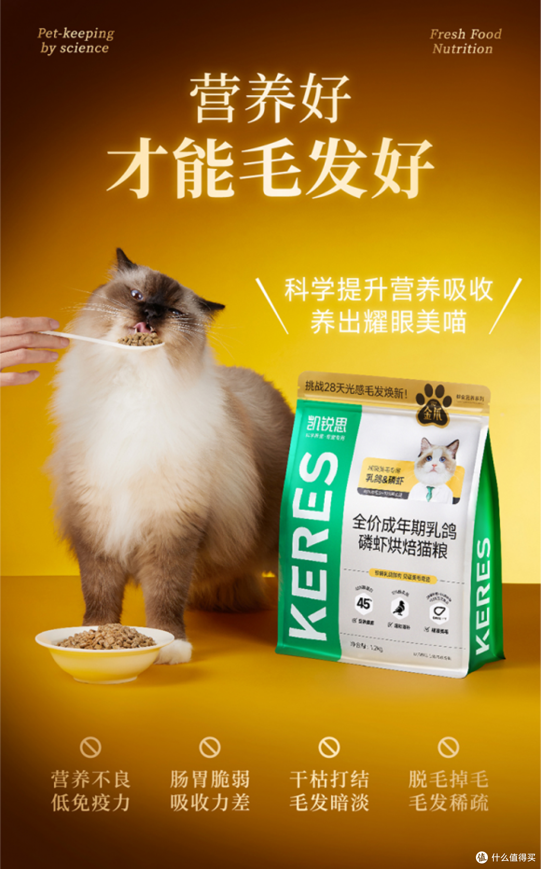 解码凯锐思金爪烘焙猫粮的28天美毛奥秘