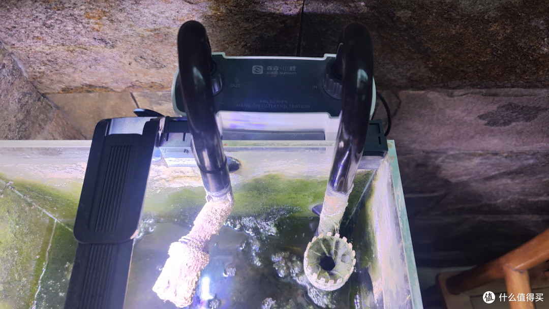 草缸鱼缸水陆缸,缸缸都是爱;小鱼小虾小蜗牛,换的比水勤快