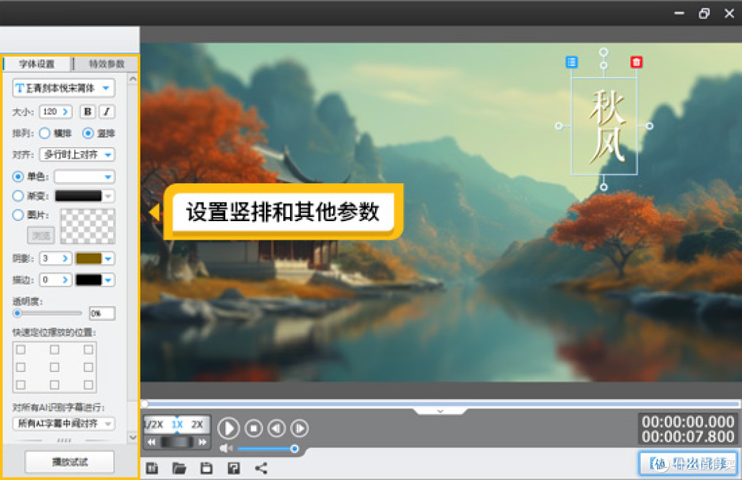 图9：输入字幕设置竖排和其他参数