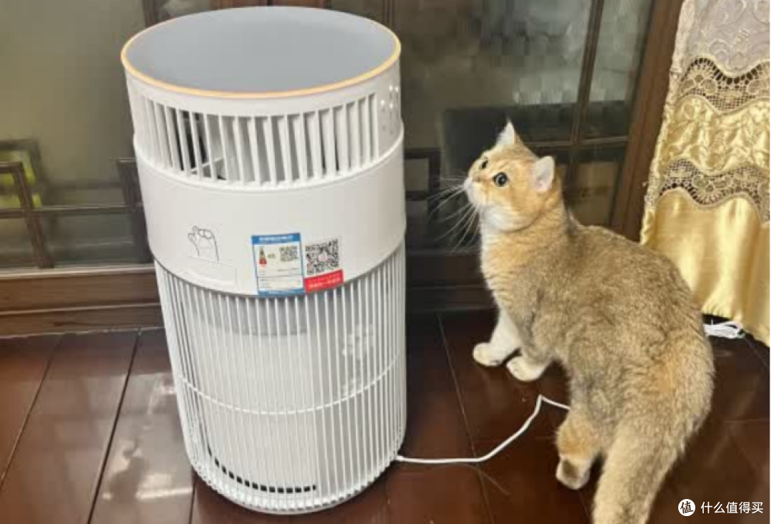 霍尼韦尔、宫菱宠物净化器怎么样?宠物净化器怎么选?多维度测评