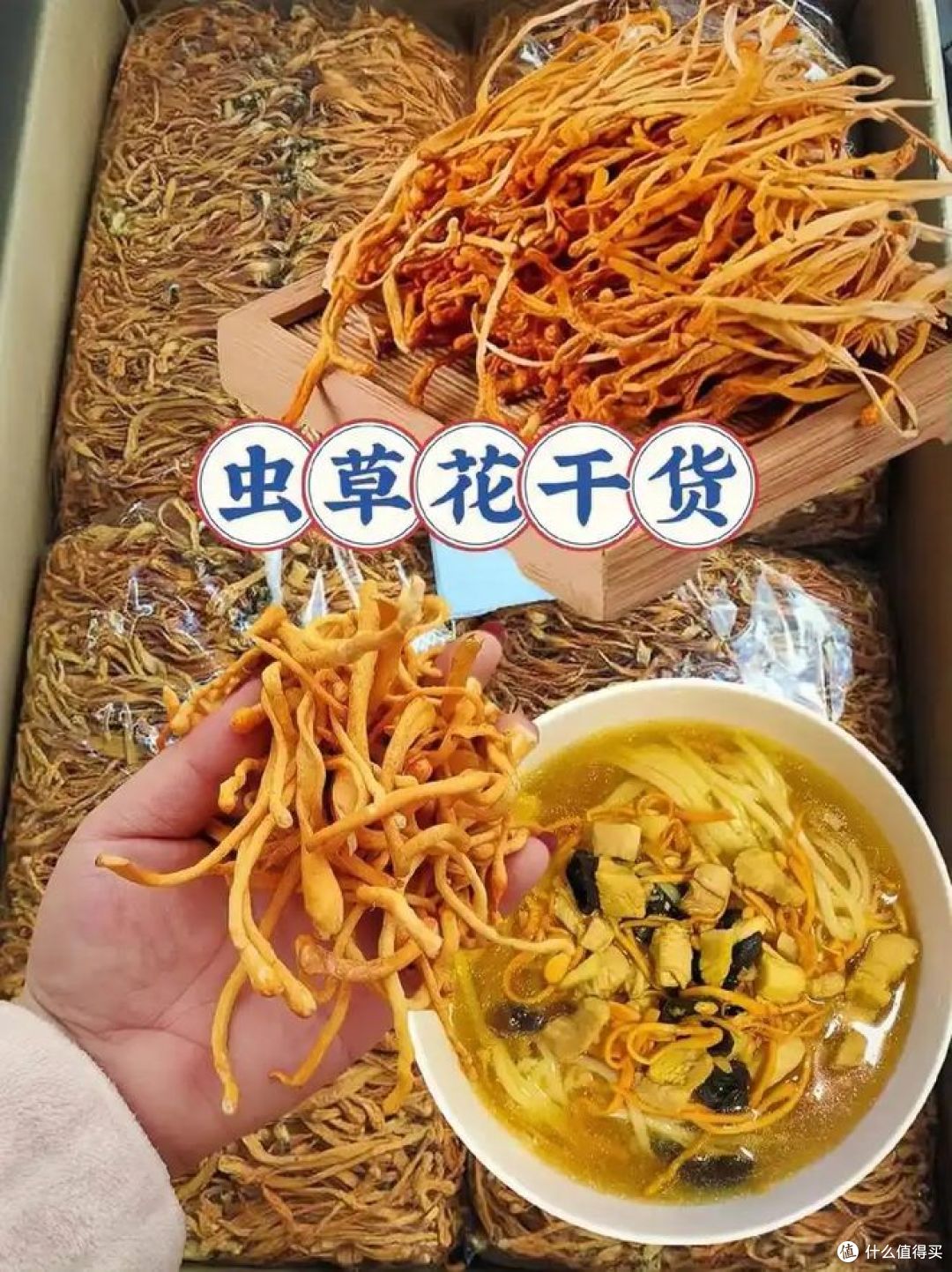 虫草花鲜的好还是干得好?