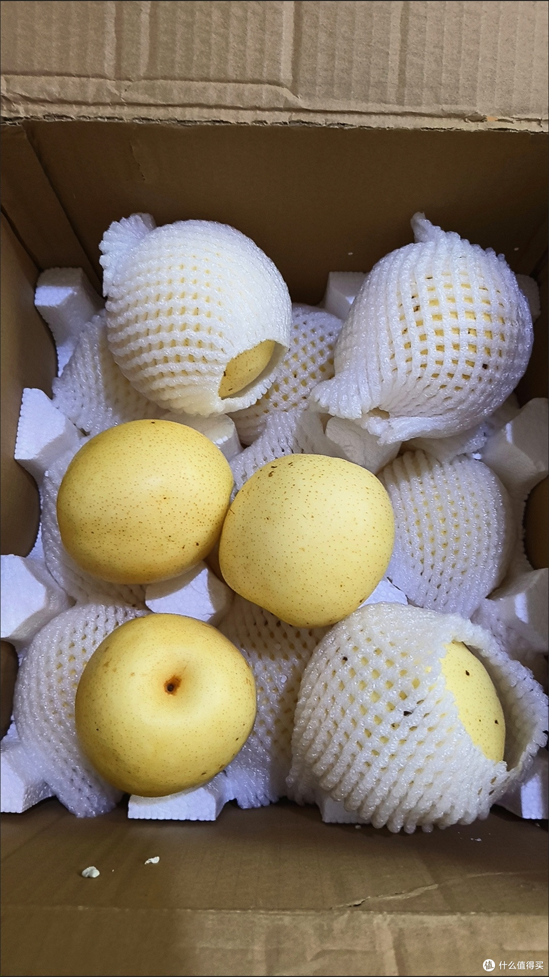 嗓子救星来了！手残党也能炖出神仙止咳水！🍐