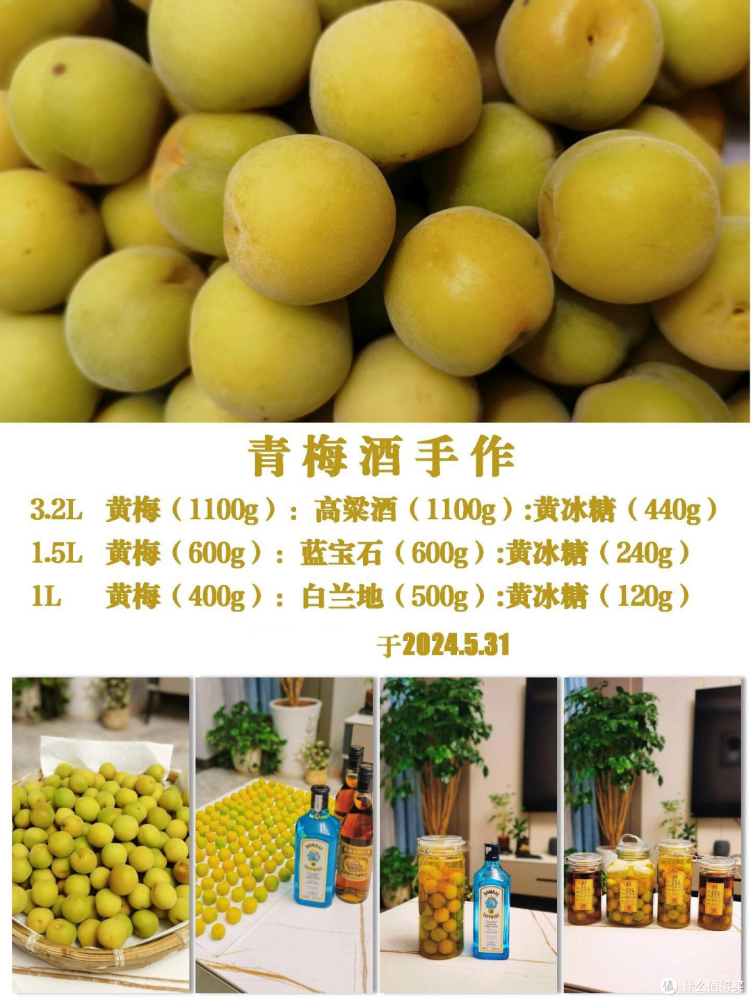 泡梅子酒五年，去年的酒今年喝！附四款存酒品鉴测评