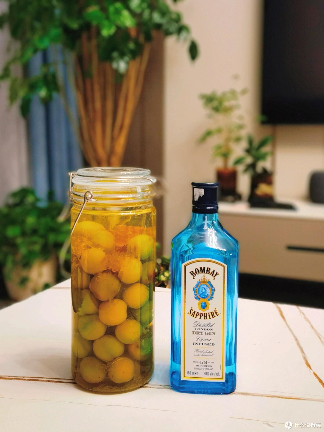 泡梅子酒五年，去年的酒今年喝！附四款存酒品鉴测评