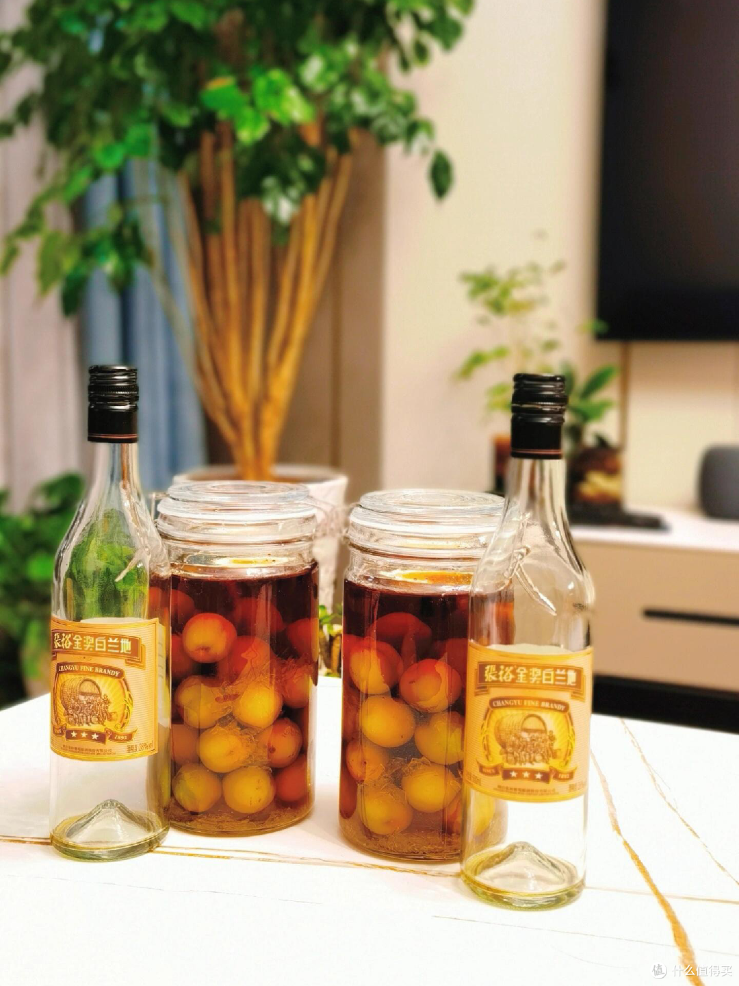 泡梅子酒五年，去年的酒今年喝！附四款存酒品鉴测评