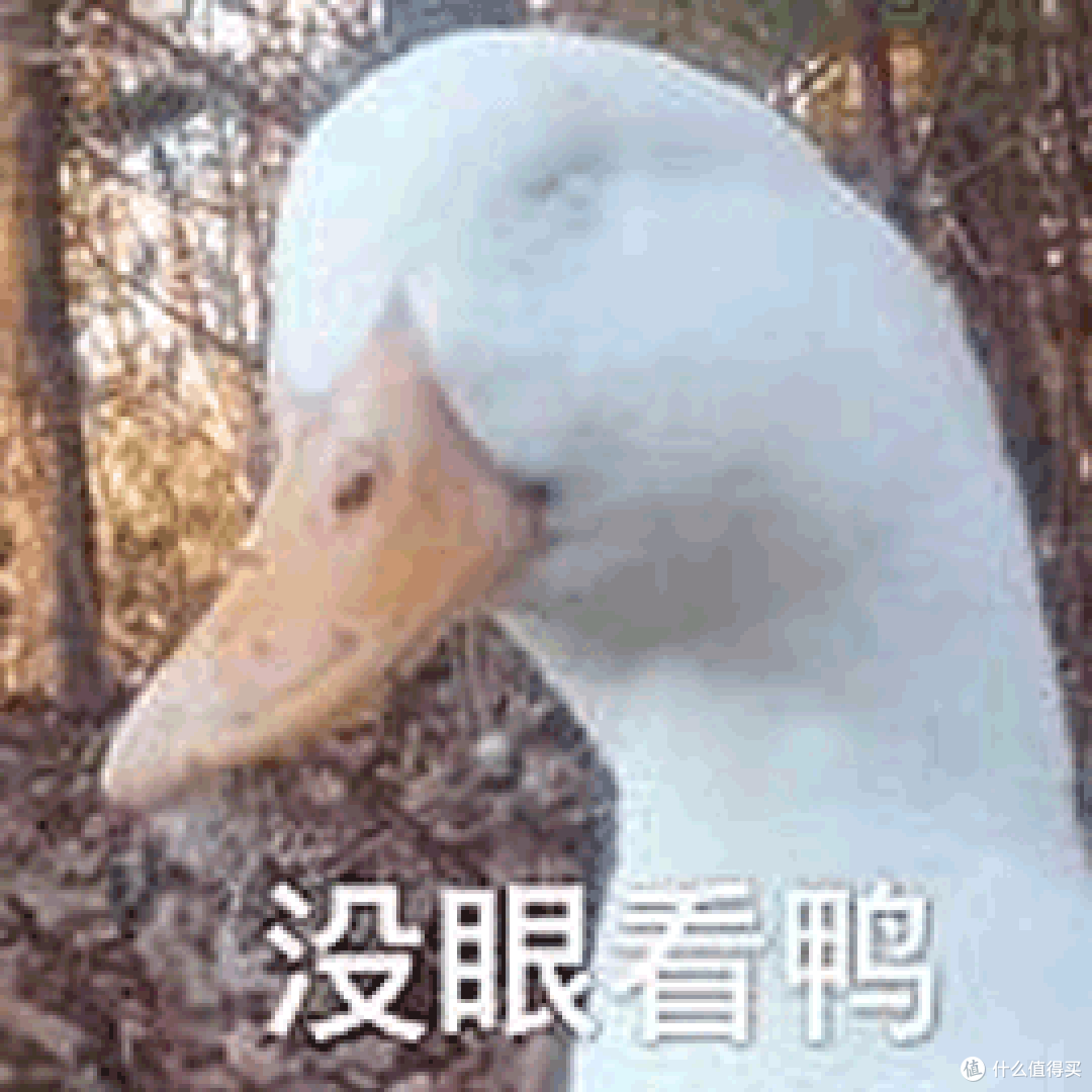 富贵人生,早晚得去水贝买黄金