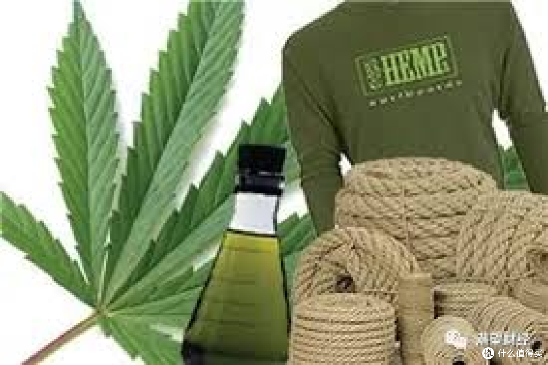 无印良品回应衣服「含大麻」：存在歧义