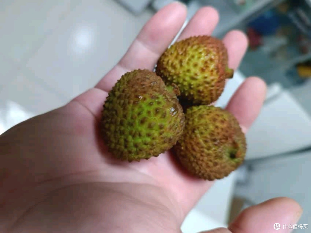 京鲜生广东妃子笑荔枝,单果18g起,源头直发包邮,尝鲜正当时!