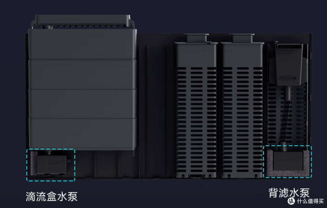 智能生态鱼缸保姆级懒人指南,不动手也能玩出养鱼自由的快乐