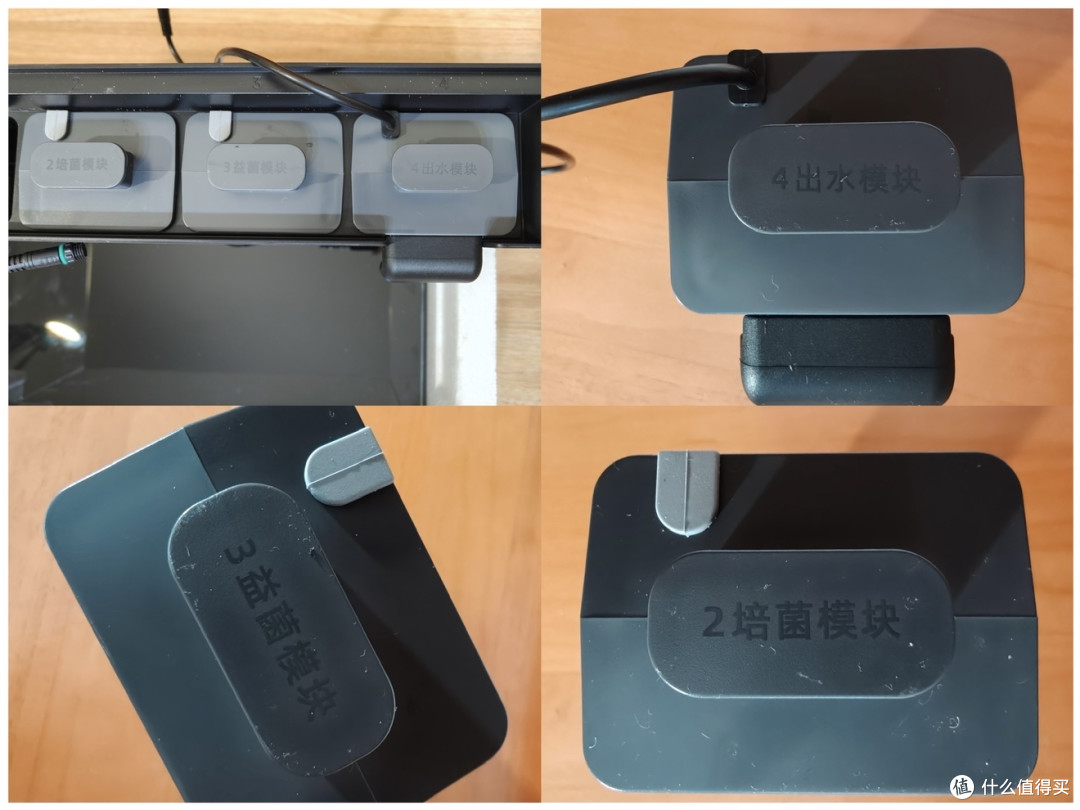 智能生态鱼缸保姆级懒人指南,不动手也能玩出养鱼自由的快乐