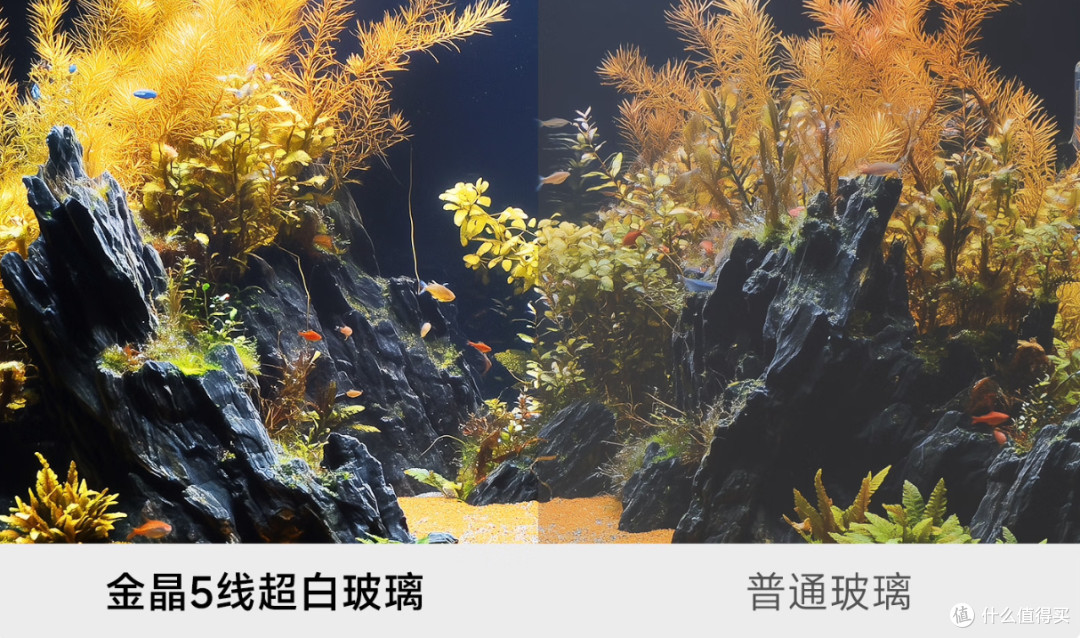 智能生态鱼缸保姆级懒人指南,不动手也能玩出养鱼自由的快乐
