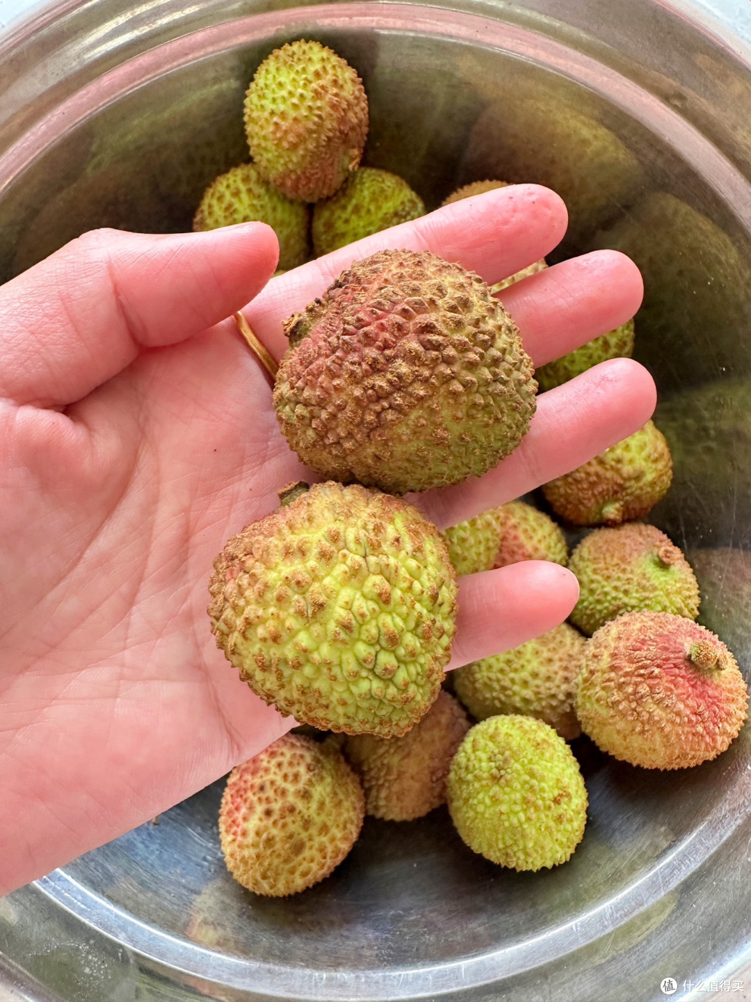 妃子笑荔枝✔连杨贵妃都上头的"甜蜜炸弹"，放三天还能掐出水！