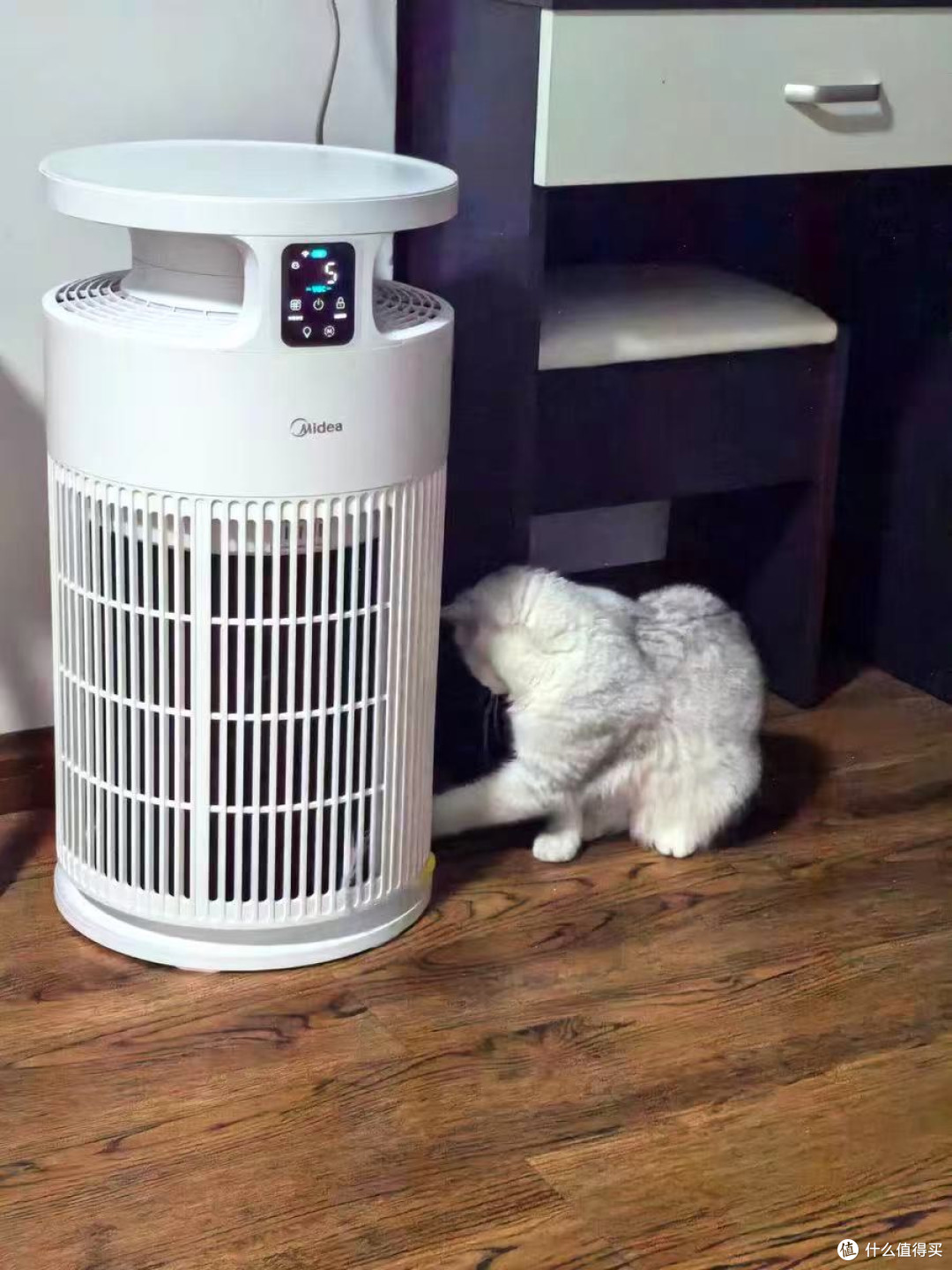 救命!这加湿器居然是吸猫毛神器?!美的你太会了!