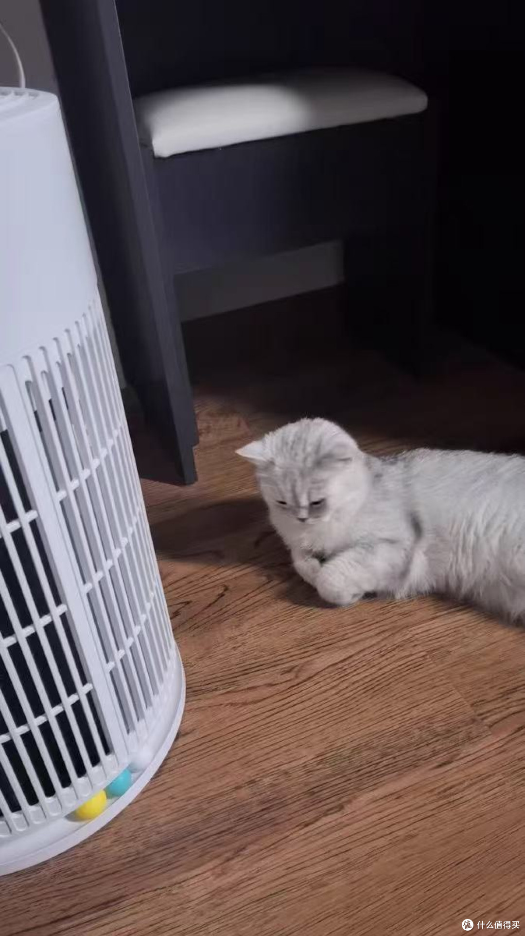 救命!这加湿器居然是吸猫毛神器?!美的你太会了!