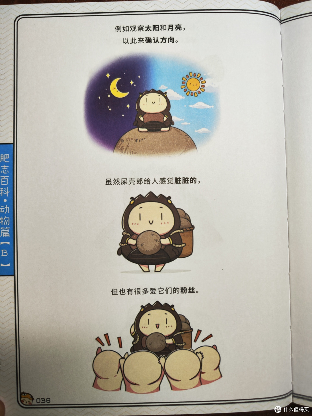 B读道社出品12册合集