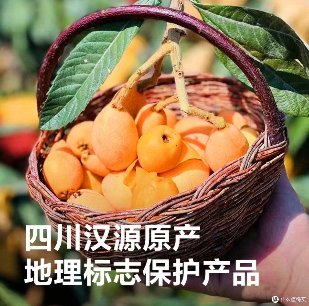 初夏的甜蜜馈赠:四川汉源大五星枇杷