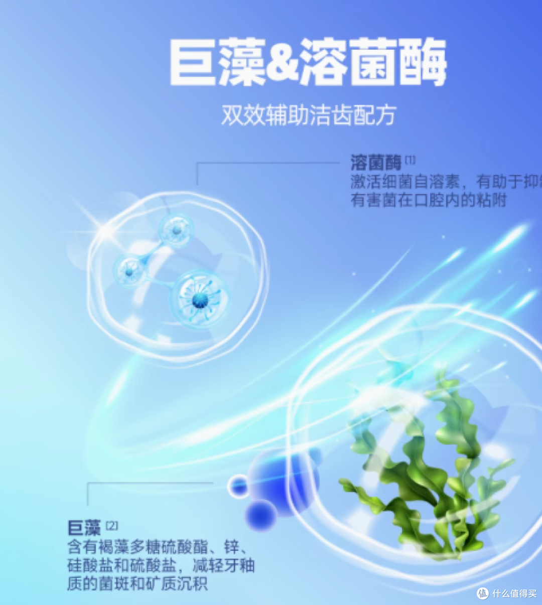宠爱新选择——Petafresh派膳师全价烘焙猫用主粮山楂鸡内金300g
