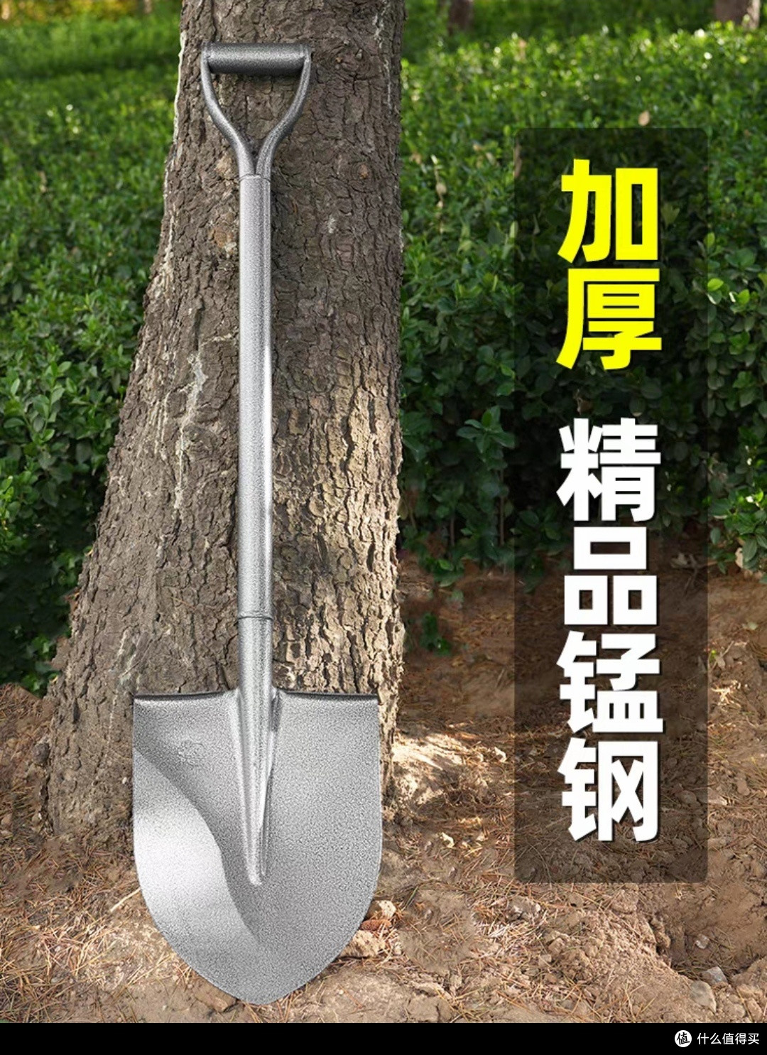 铁锹用在铲海里的沙石（花蛤藏在沙石中）