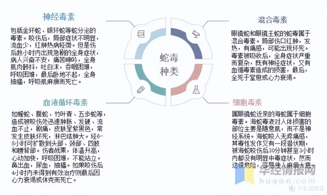致命危机！毒蛇咬伤后如何‘争分夺秒’自救？