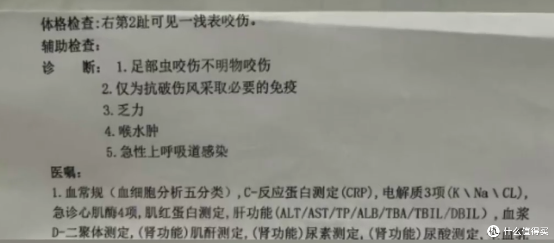 致命危机！毒蛇咬伤后如何‘争分夺秒’自救？