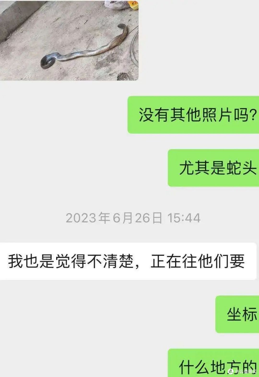 致命危机！毒蛇咬伤后如何‘争分夺秒’自救？