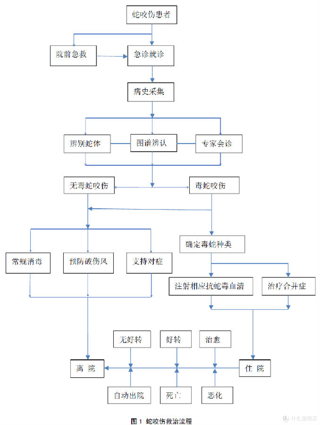 致命危机！毒蛇咬伤后如何‘争分夺秒’自救？