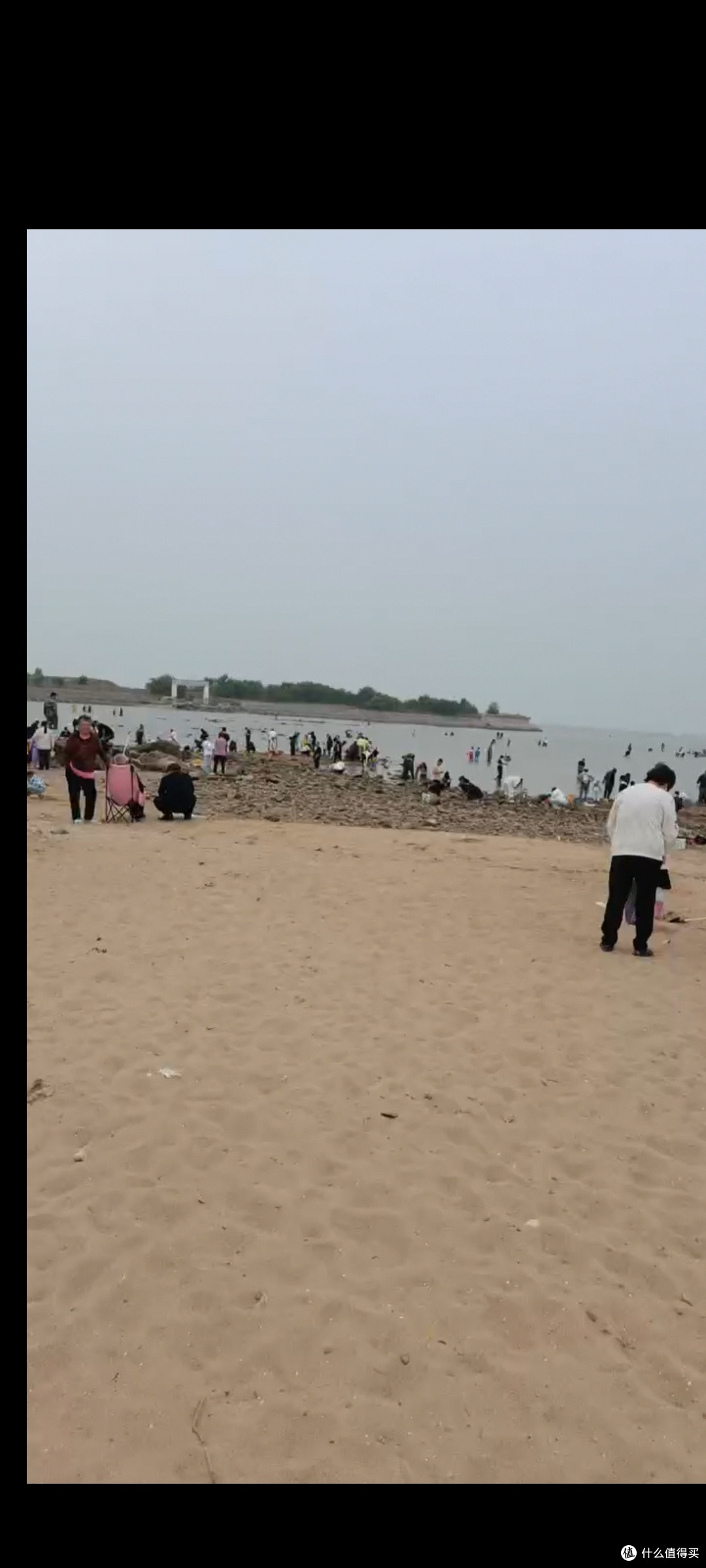 赶海日记：赶海的收获与感悟