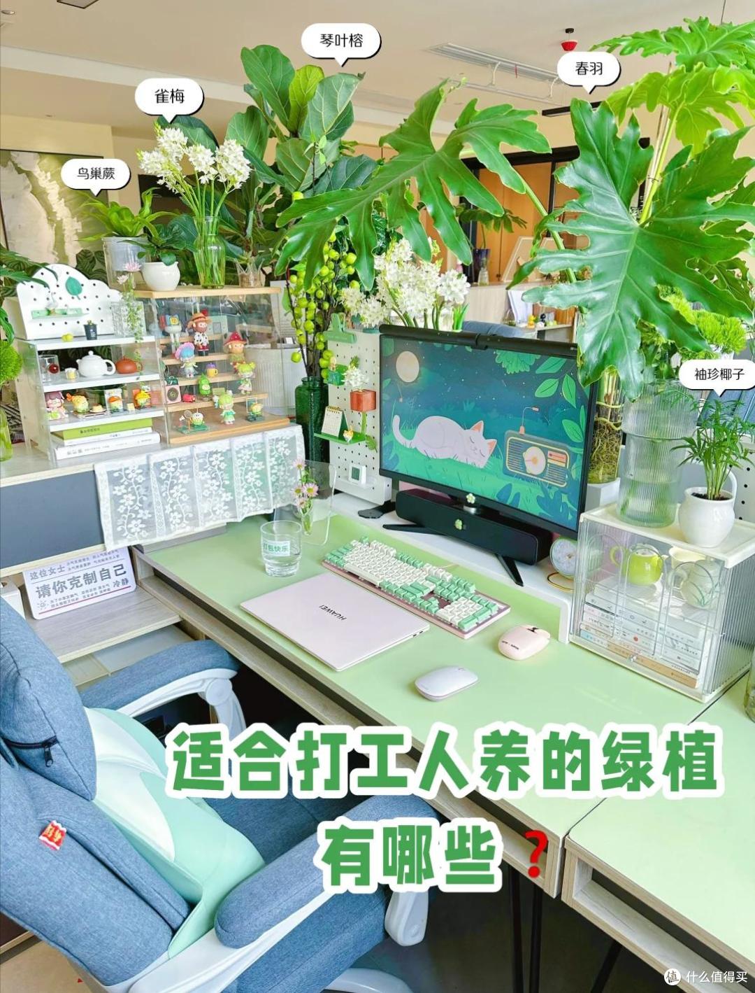 上海一女姑娘,因“工位养花”被约谈,引全员效仿,那叫一个壮观