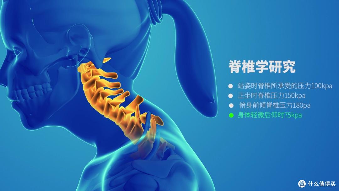 人体工学椅防坑白皮书，拆解追腰三大流派，摩伽S3Plus深度评测