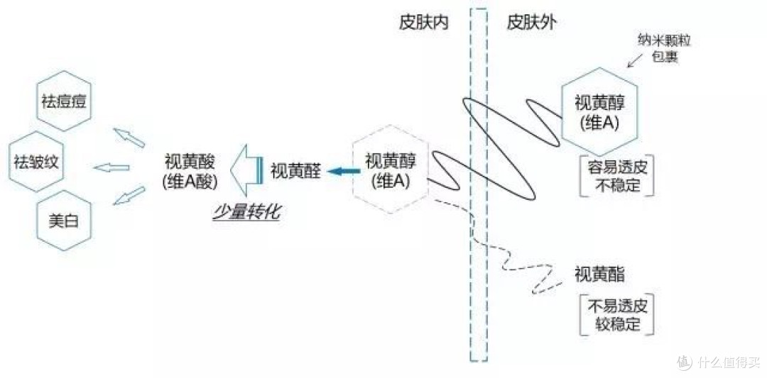 A醇：护肤界的明星，抗老又美白