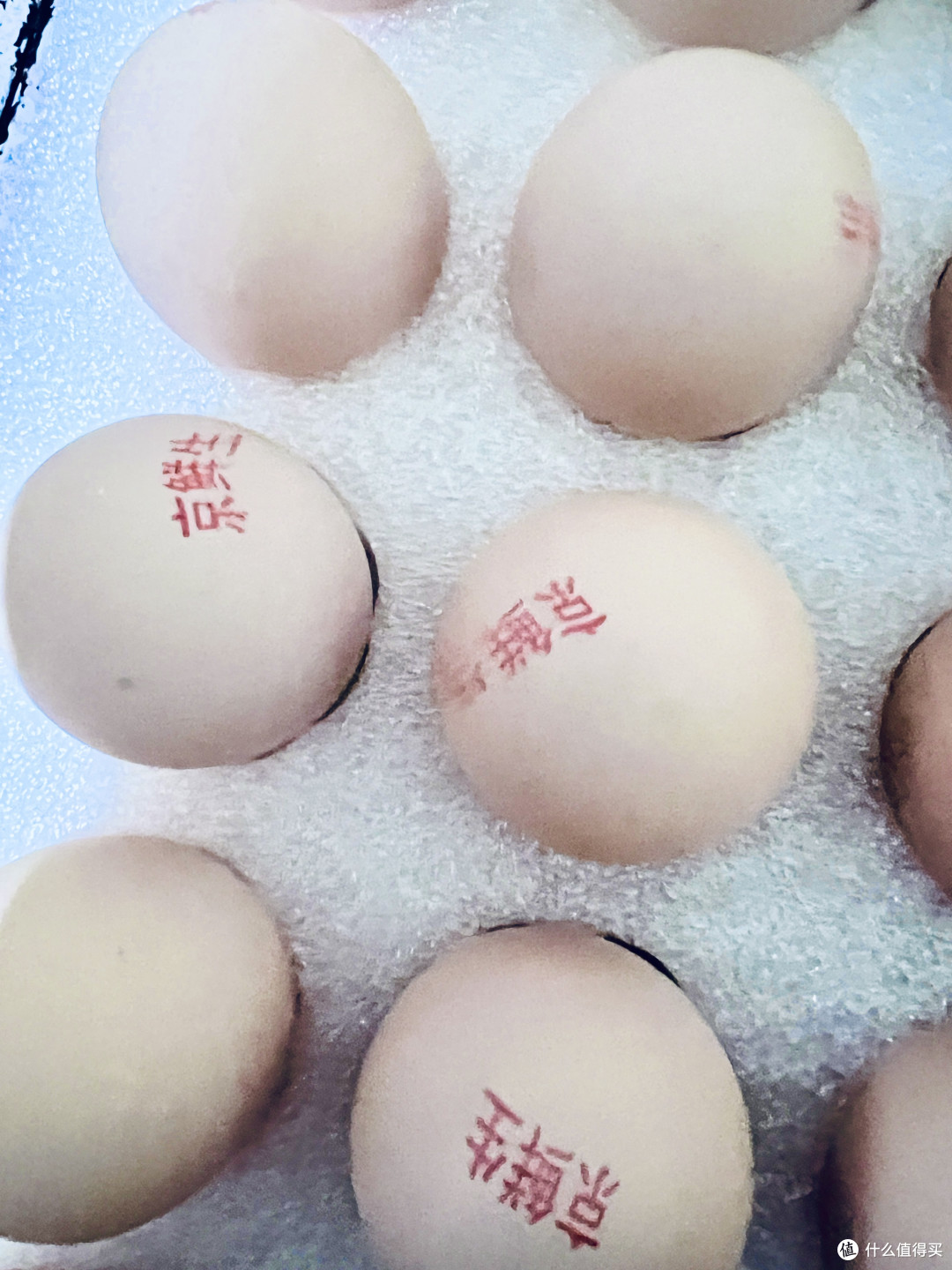天珍牧场营养鲜鸡蛋，京东超市里买的，还不错的！